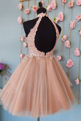 Blush Homecoming Dresses A-Line Short Tulle Prom Dress with Lace