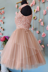 Blush Homecoming Dresses A-Line Short Tulle Prom Dress with Lace