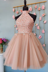Blush Homecoming Dresses A-Line Short Tulle Prom Dress with Lace