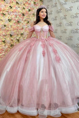 Elegant Ball Gown Off Shoulder Long Sleeves Lace Appliques Sweep Train Pink Tulle Quinceanera Dress For Sweet 16