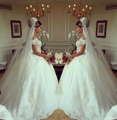 Elegant Lace Princess Ball Gown Wedding Dresses Sheer Mesh Neck Buttons Popular Bridal Dresses