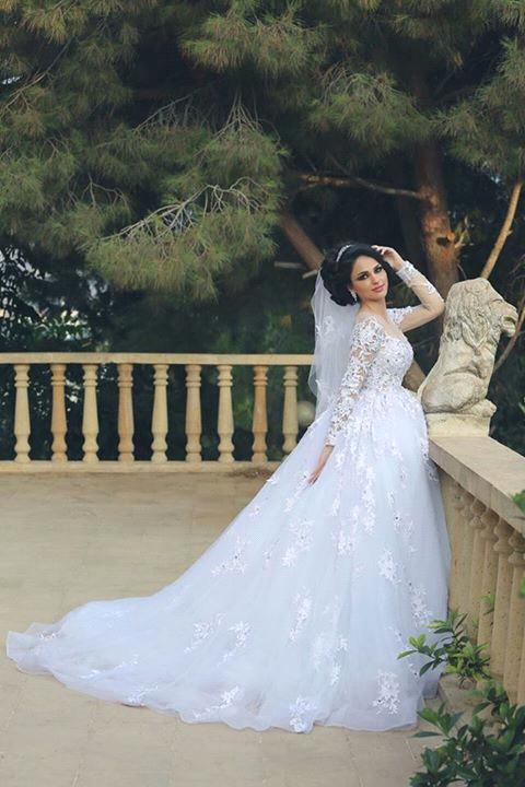Gorgeous Long Sleeve Lace Princess Dress A-Line Tulle Wedding Dress WE0011