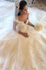 Gorgeous Off the Shoulder Princess Dress Latest Chapel Train Lace Wedding Dresses