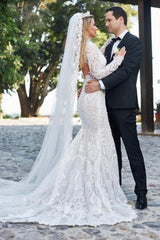 Noble vneck longsleeves mermaid lace Bridal Gowns