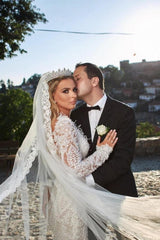 Noble vneck longsleeves mermaid lace Bridal Gowns