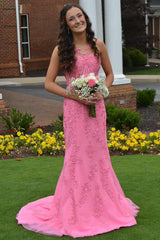 Pink Prom Dress Mermaid Corset Long Lace Formal Dress