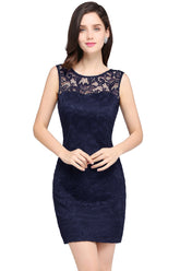Scoop Sleeveless Lace Gorgeous Short Party Dress On Sale