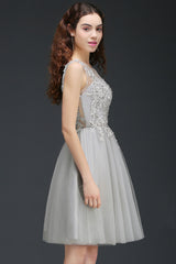 Silver Scoop Tulle Short Party Dress With Appliques