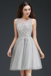 Silver Scoop Tulle Short Party Dress With Appliques