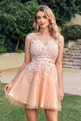 Sleeveless Appliques Tulle Lace V-Neck Knee Length Dress