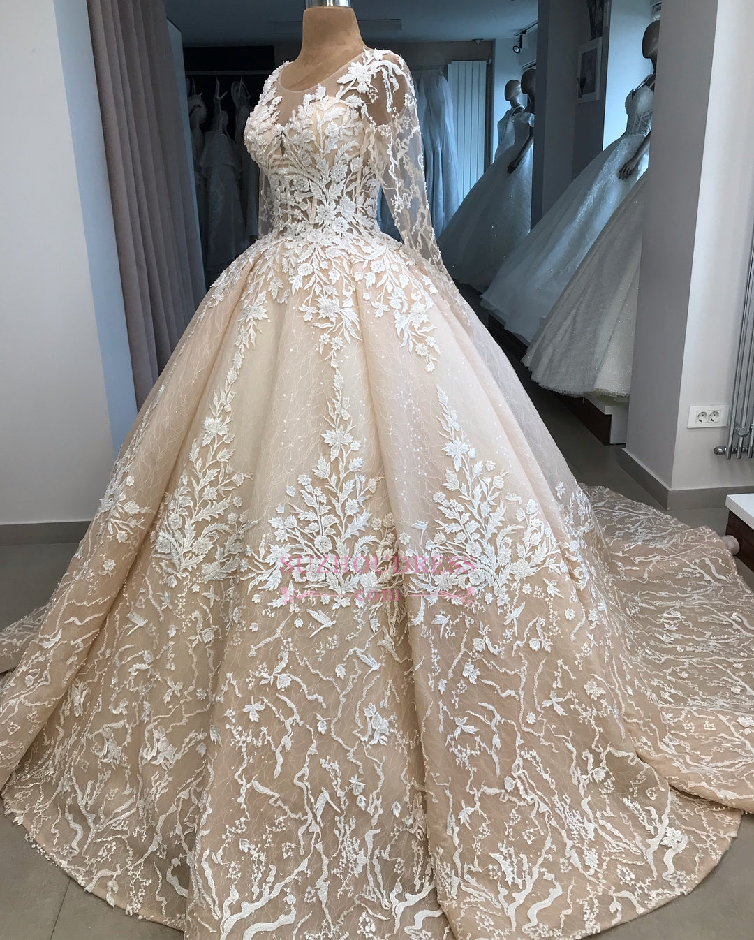 Appliques Ball-Gown Long-Sleeves Scoop Brilliant Wedding Dresses