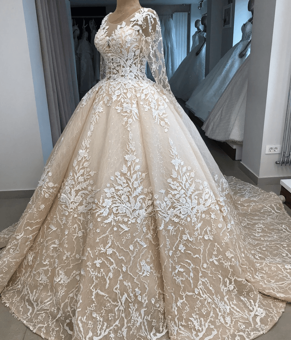 Appliques Ball-Gown Long-Sleeves Scoop Brilliant Wedding Dresses