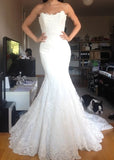 Beautiful White Lace Mermaid Bridal Gown Popular Custom Made Trumpet Plus Size Wedding Dress BA9654