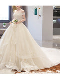 Casual Plus Size A-Line Wedding Dresses Off Shoulder Lace Sleeveless Bridal Gowns with Court Train