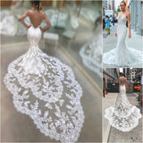 Cathedral Lace Train Backless Wedding Dresses V-neck Spaghetti Straps Sheath Bridal Gowns