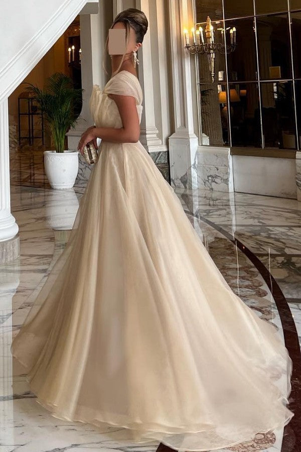 Champagne Tulle A Line Prom Dress with Fan Pleated Bodice and Bow Sleeve