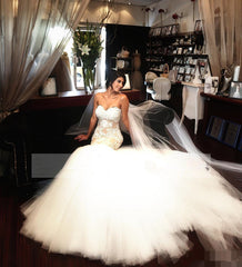 Delicate Sleeveless Mermaid Lace Appliques Bridal Dress Sweetheart Tulle Wedding Dress