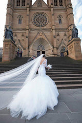 Elegant Lace Tulle Cathedral Wedding Dresses V-neck Mermaid Open Back Bridal Gowns BA3273