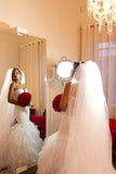 Elegant Strapless Sheath Wedding Dresses Organza Sheer Back Mermaid Bridal Dresses BO7794