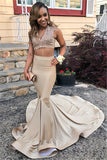 Elegant V-Neck Sleeveless Ruffles Prom Dresses | Mermaid Sweep Train Appliques Evening Dresses