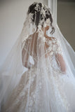 Exquisite Appliques Sheer Tulle Bridal Gowns | Long Sleeve A-line Wedding Dresses