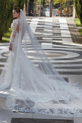 Fabulous V-Neck Mermaid Beach Bridal Dresses Appliques Long SleevesWith Lace Appliques