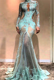Glamorous Mermaid Long Sleeves Evening Dresses |  High Neck Sheer Appliques Prom Dresses