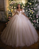Glamorous Off-the-Shoulder Tulle Ball Gown Wedding Dress