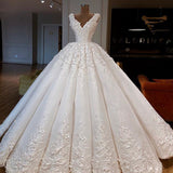 Glamorous V-Neck Sleeveless Wedding Dresses | Lace Bridal Ball Gowns