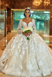 Gorgeous Beading Appliques Ball Gown Wedding Dresses | Long Sleeve Floral Feather Bridal Dresses