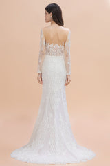 Gorgeous Jewel Tulle Lace Wedding Dress | Long Sleeves Appliques Mermaid Bridal Gowns