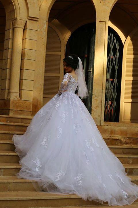 Gorgeous Long Sleeve Lace Princess Dress A-Line Tulle Wedding Dress WE0011