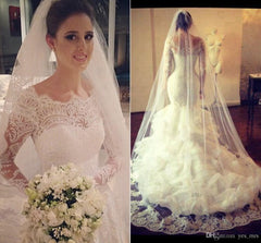 Gorgeous Wedding Dresses Lace Mermaid Long Sleeve Bridal Gowns with Wedding Veil