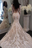 Illusion Long Sleeve Bride Dress Mermaid Lace Gorgeous Retro Sheer Tulle Wedding Dress BA6189