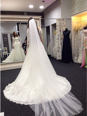 Lace Vestidos De Noiva Plus Size Wedding Dresses Long Sleeve Scoop Neck Bridal Gown with White Veil