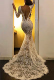Long Sleeve Lace Formal Evening Dresses | Sexy Slit Mermaid Prom Dresses with Court Train BC2581