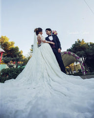 Long Sleeve Lace Wedding Dresses | Ball Gown Long Train See Through Back Bride Dress