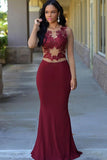 Long Sleeve Mermaid Evening Dress Sheer Tulle Lace Prom Dresses BA4324