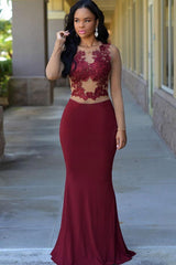 Long Sleeve Mermaid Evening Dress Sheer Tulle Lace Prom Dresses BA4324