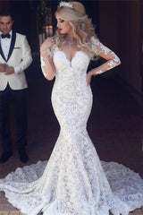 Long Sleeve Mermaid Lace Beach Wedding Dress Sexy Open Back V-neck Classic Bridal Gown