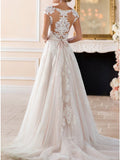 Modern A-Line Wedding Dress V-Neck Lace Tulle Straps Bridal Gowns Formal Illusion Detail with Sweep Train