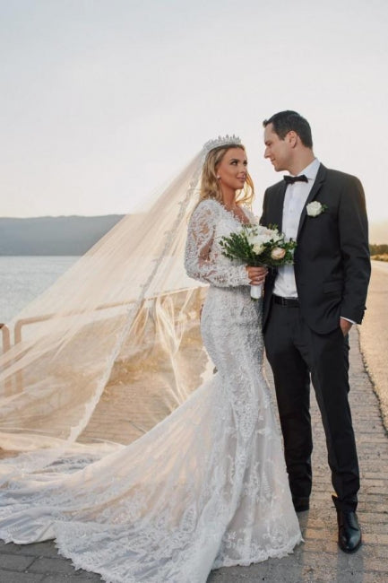 Noble vneck longsleeves mermaid lace Bridal Gowns