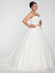 Plus Size Ball Gown Wedding Dress Chiffon Strapless Simple Backless Cute Bridal Gowns with Court Train