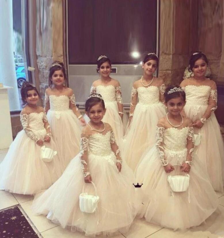 Princess Lace Tulle Flower Girl Dress With Sleeves On Sale