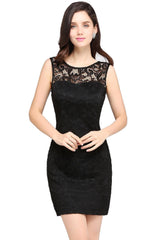 Scoop Sleeveless Lace Gorgeous Short Party Dress On Sale