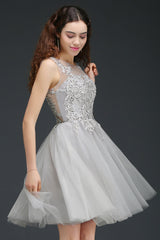 Silver Scoop Tulle Short Party Dress With Appliques