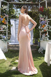Simple Pink Halter Sleeveless Mermaid Floor-Length Satin Prom Dresses