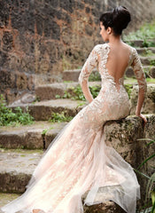 V-neck Long Sleeve Wedding Dresses Ivory | Mermaid Sexy Lace Evening Dresses bc1589