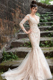 V-neck Long Sleeve Wedding Dresses Ivory | Mermaid Sexy Lace Evening Dresses bc1589