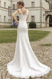 Vintage Lace Sheath Appliques Bridal Dress Court Train V Neck Wedding Dress VK0044